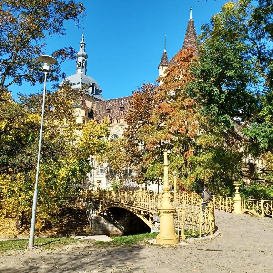 Apartman Palace3